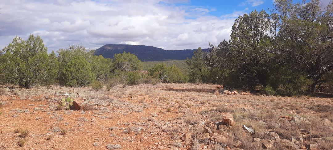 Property View Horizon