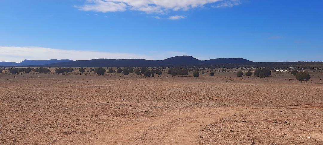 Property View Topo